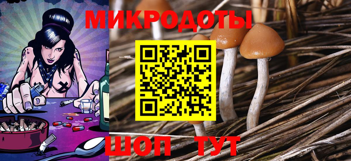 Норильск  Галлюциногенные грибы ЛСД  Вход с VPN 
