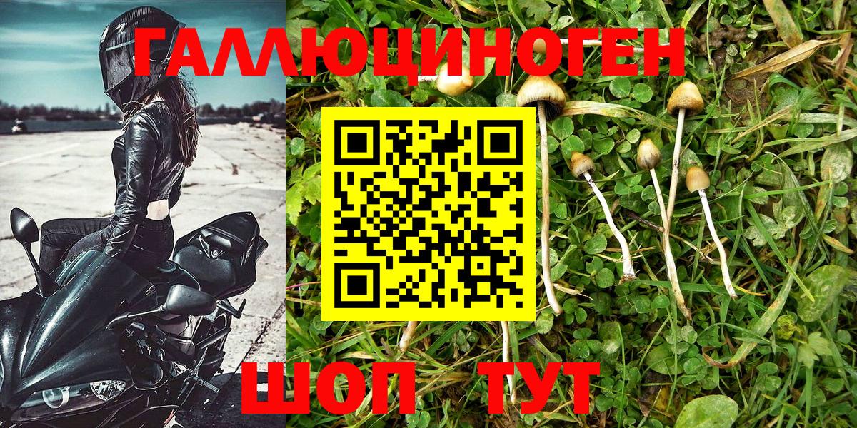 Галлюциногенные грибы мухоморы Норильск